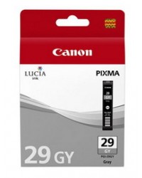 CARTUCCIA GRIGIO LUCIA PGI-29GY PIXMA PRO 1