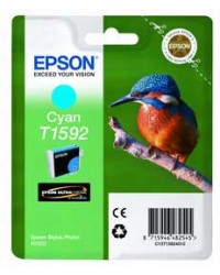 CARTUCCIA CIANO EPSON ULTRACHROME HI-GLOSS SERIE MARTIN PESCATORE TAGLIA XL