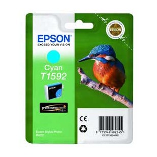 CARTUCCIA CIANO EPSON ULTRACHROME HI-GLOSS SERIE MARTIN PESCATORE TAGLIA XL