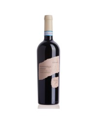 RIPASSO VIGNA 800 ML. 750