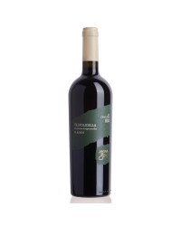 VALPOLICELLA CLASSICO VIGNA 800 ML. 750