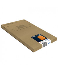 Epson Cartuccia Multipack DURABrite Ultra, 405XL BK/C/M/Y_Easy Mail