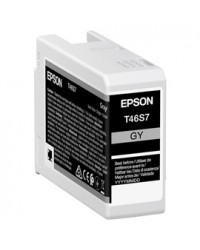 Epson Cartuccia Grigio UltraChrome Pro 10 ink 25ml