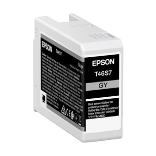 Epson Cartuccia Grigio UltraChrome Pro 10 ink 25ml
