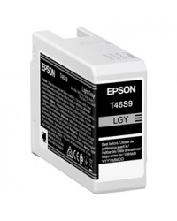 Epson Cartuccia Grigio UltraChrome Pro 10 ink 25ml