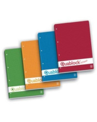 BLOCCO QUABLOCK PIGNA 21X29,7 QUADRI 4MM