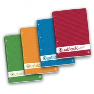 BLOCCO QUABLOCK PIGNA 21X29,7 QUADRI 4MM