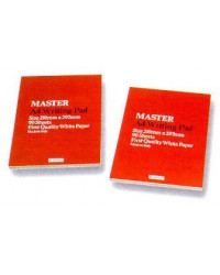 BLOCCO MASTER PIGNA 21X29,7 QUADRO 1CM