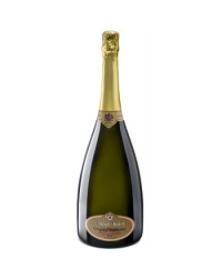 PROSECCO EXTRA DRY BORGO ANTICO ML.750