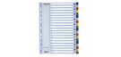 DIVISORI RUBRICATI ESSELTE 100166 A-Z A/4 MULTICOLOR