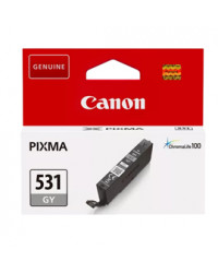 Canon Cartuccia Ink Grigio CLI-531GR